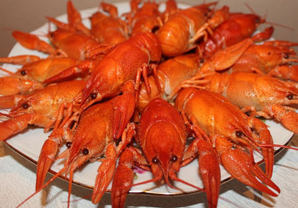 Buy Live Crawfish Online