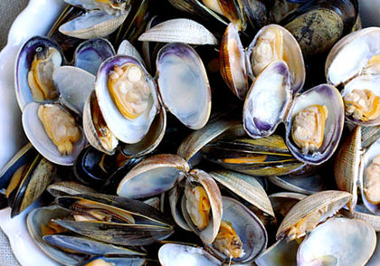 Mussels and Clams