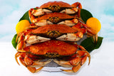 Fresh Cooked Whole Dungeness Crabs