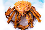Live Alaskan King Crab