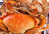 Fresh Cooked Whole Dungeness Crabs