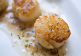 Fresh Giant Sea Scallops