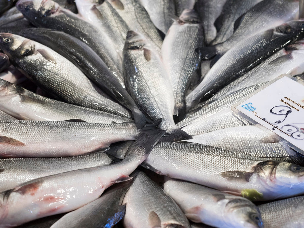 Answering Two of the Most Common Questions About Fish Labelling