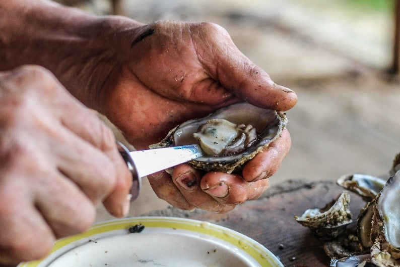 A Guide to Shucking Blue Point Oysters