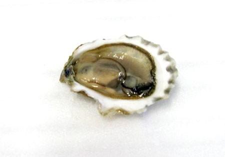 Grilled Blue Point Oyster Recipe