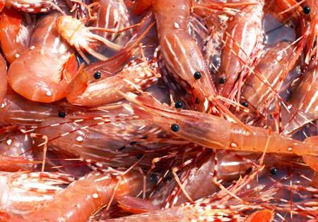 3 Ideas for Preparing the Perfect Shrimp