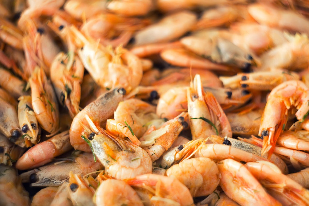 5 Healthy Reasons to Eat Shrimp