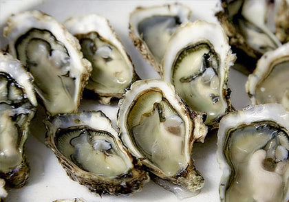 Buy Quality Oysters Online
