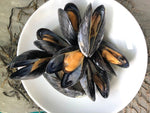 Restaurant Ready "White water" mussels East Coast