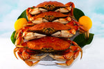 Fresh Cooked Whole Dungeness Crabs