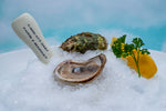 Quonset Point Oysters® - East Passage, Narragansett Bay, Rhode Island, USA