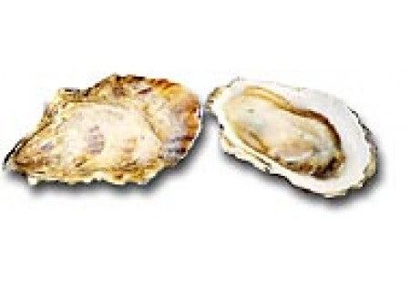 Sunset Beach Oysters - Discovery Bay WA